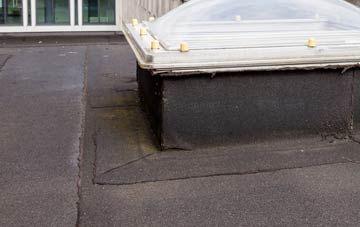disadvantages of Hunningham Hill flat roofs